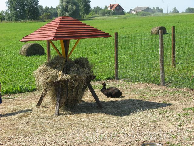 Zemnieku saimniecība "Guntiņi"